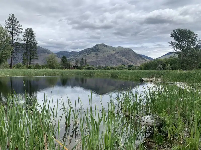 Southern Interior Land Trust nʔaʕx̌ʷt – Ginty’s Pond Conservation Property, Cawston B.C. Photo by Al Peatt.