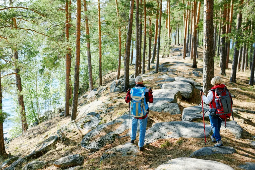 people hiking a nature trail